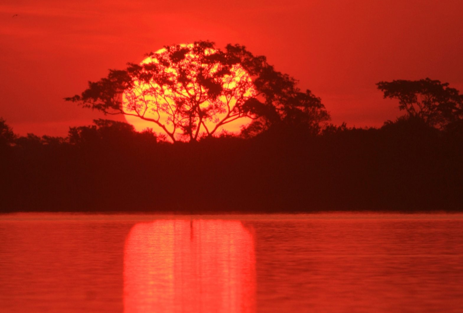 O amanhecer no Pantanal