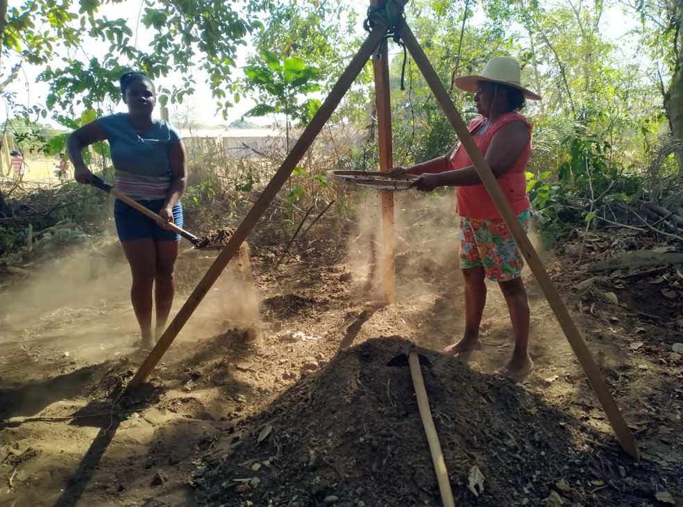 Espécies nativas serão cultivadas em viveiros para recuperação de áreas degradadas no Pantanal em MT