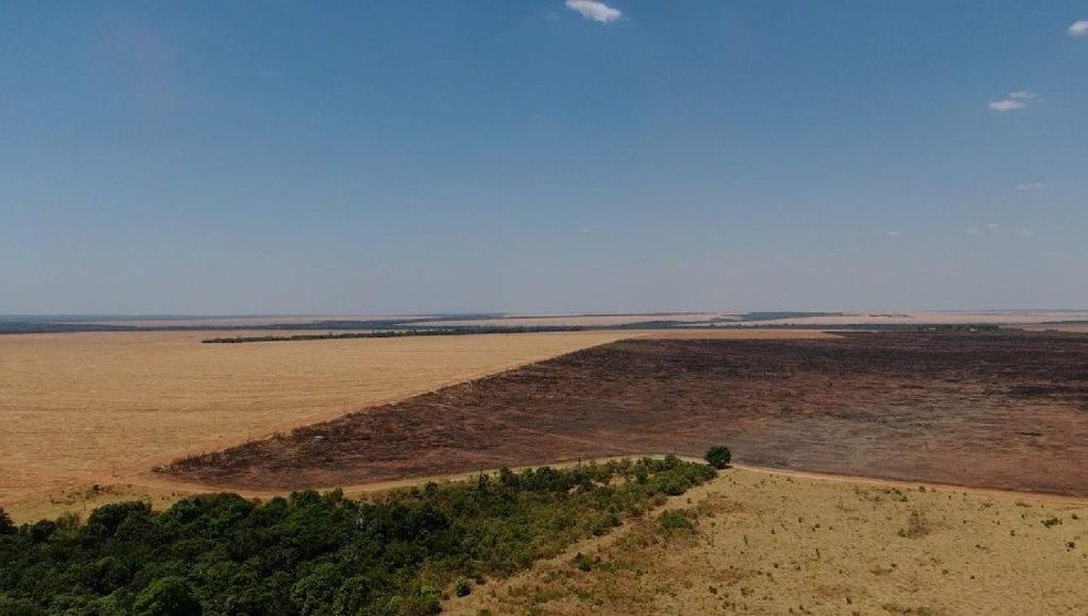 QUEIMADAS: Proprietários de fazendas em MT são multados em mais de R$ 3,4 milhões