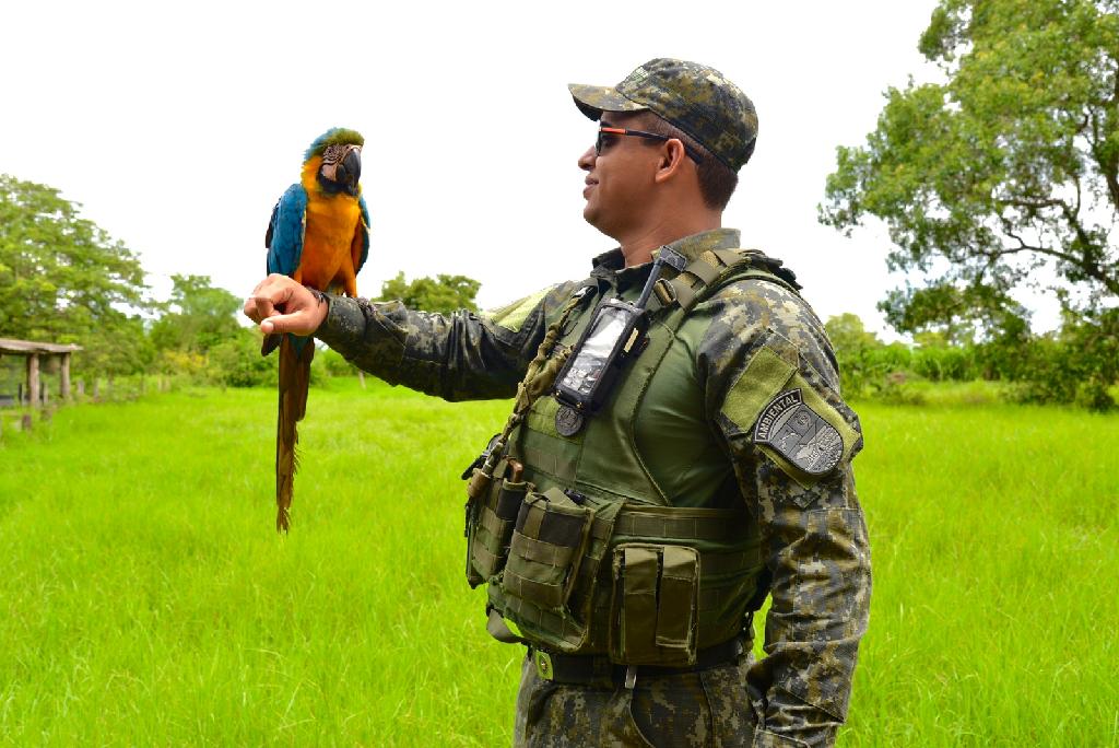 RESULTADO: Batalhão Ambiental aplica R$ 317 milhões em multas de crimes contra a natureza em 2022