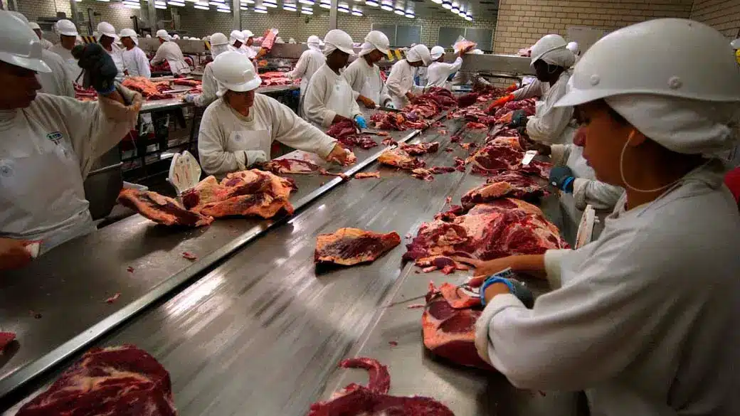 O possível efeito econômico da “vaca louca” no preço da carne