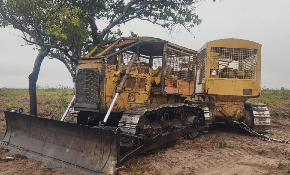 NOVA LACERDA: Crime ambiental