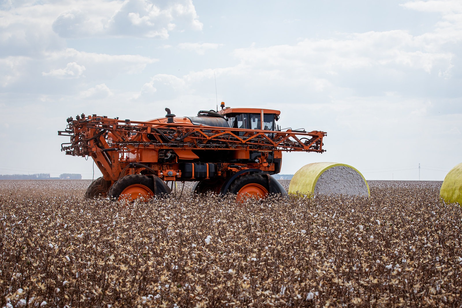 AGRO: <strong>Produtores de algodão devem cadastrar propriedades no Indea até o próximo dia 15</strong>