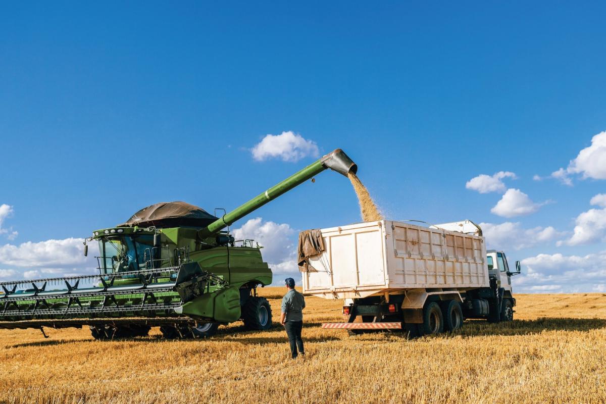 Sicredi oferece nova linha de crédito rural em dólar para produtores associados