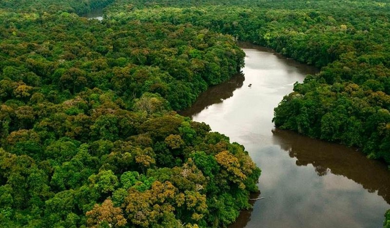 Pesquisadores da Unemat identificam regiões da Floresta Amazônica mais vulneráveis às mudanças climáticas