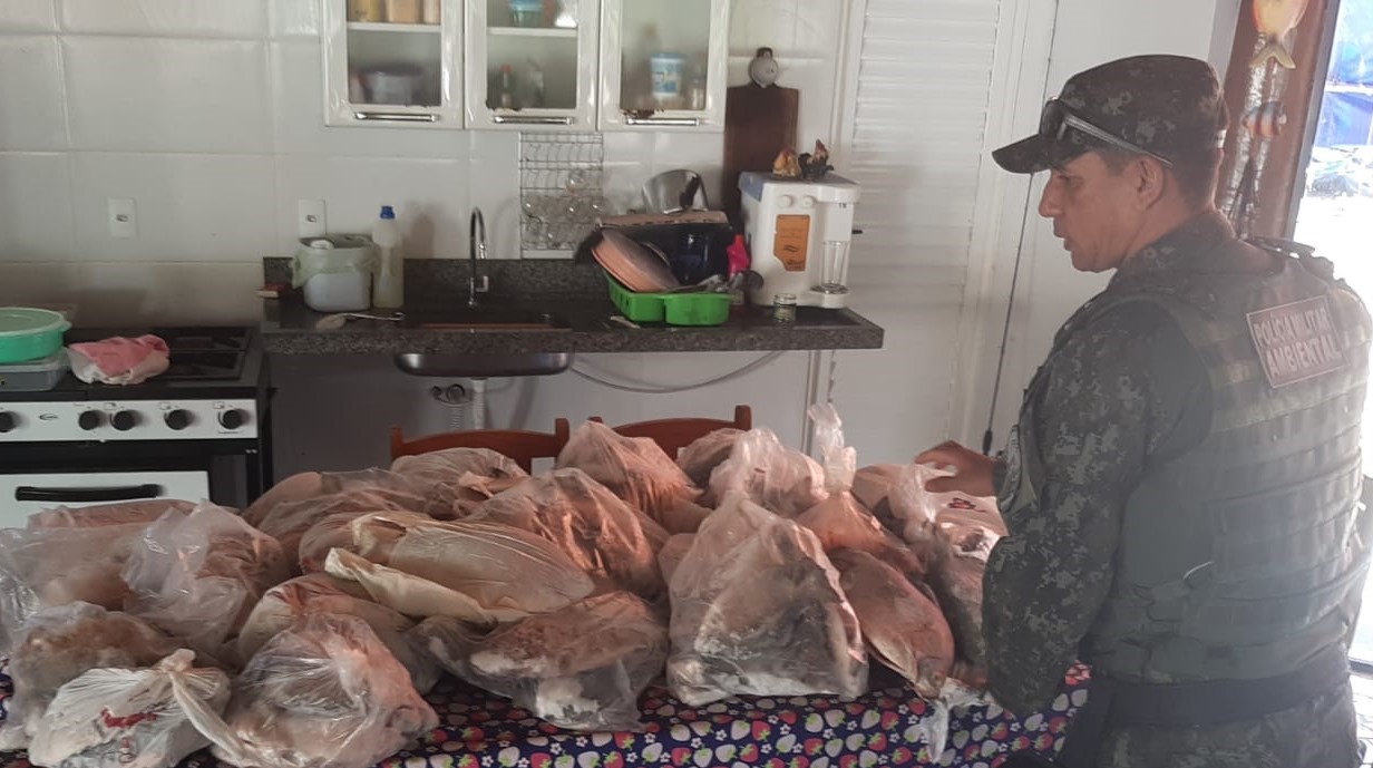 PRIMAVERA DO LESTE: 67 kg de pescado ilegal e armas de fogo