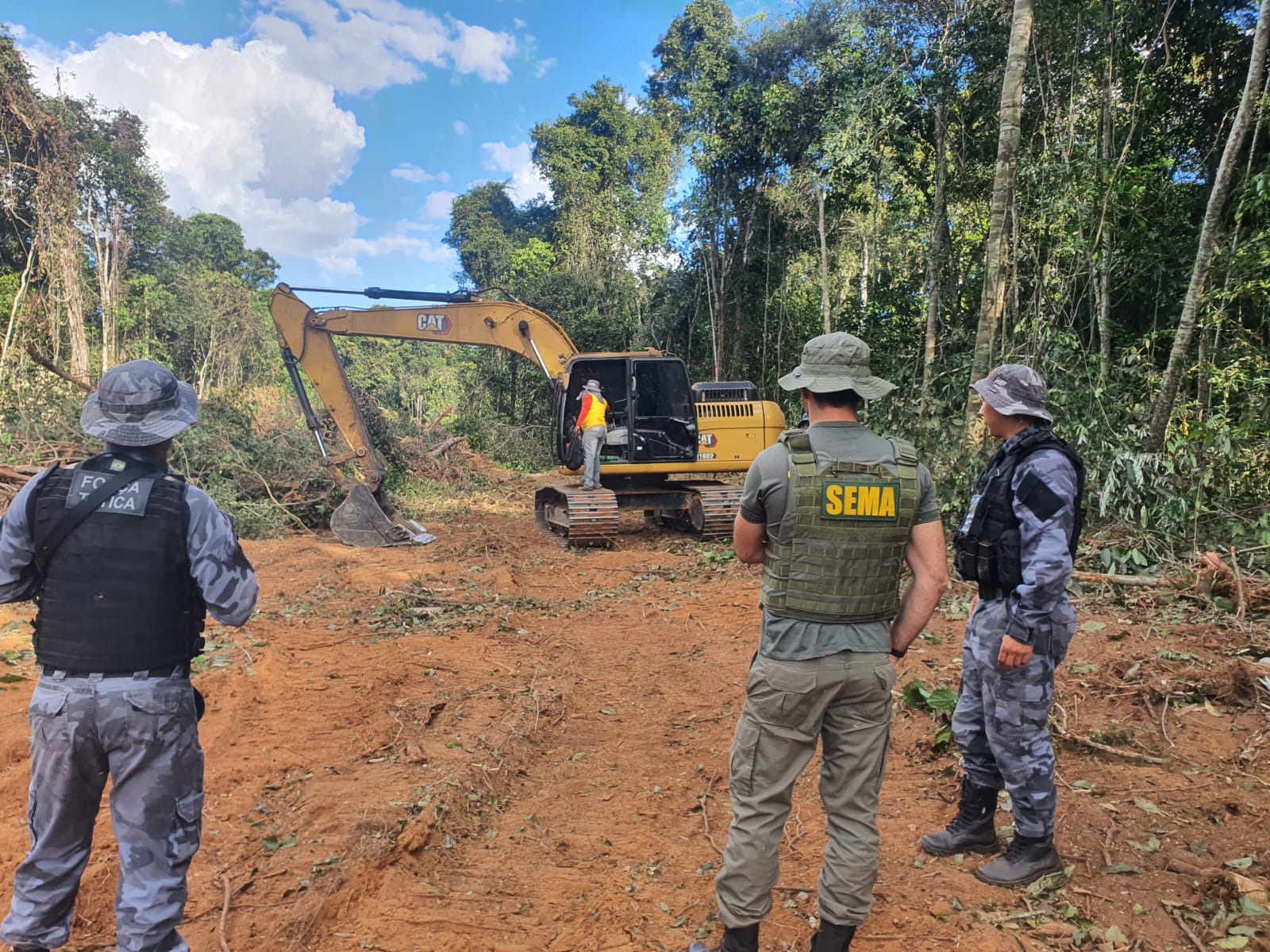 BOM JESUS & QUERÊNCIA: Desmate ilegal