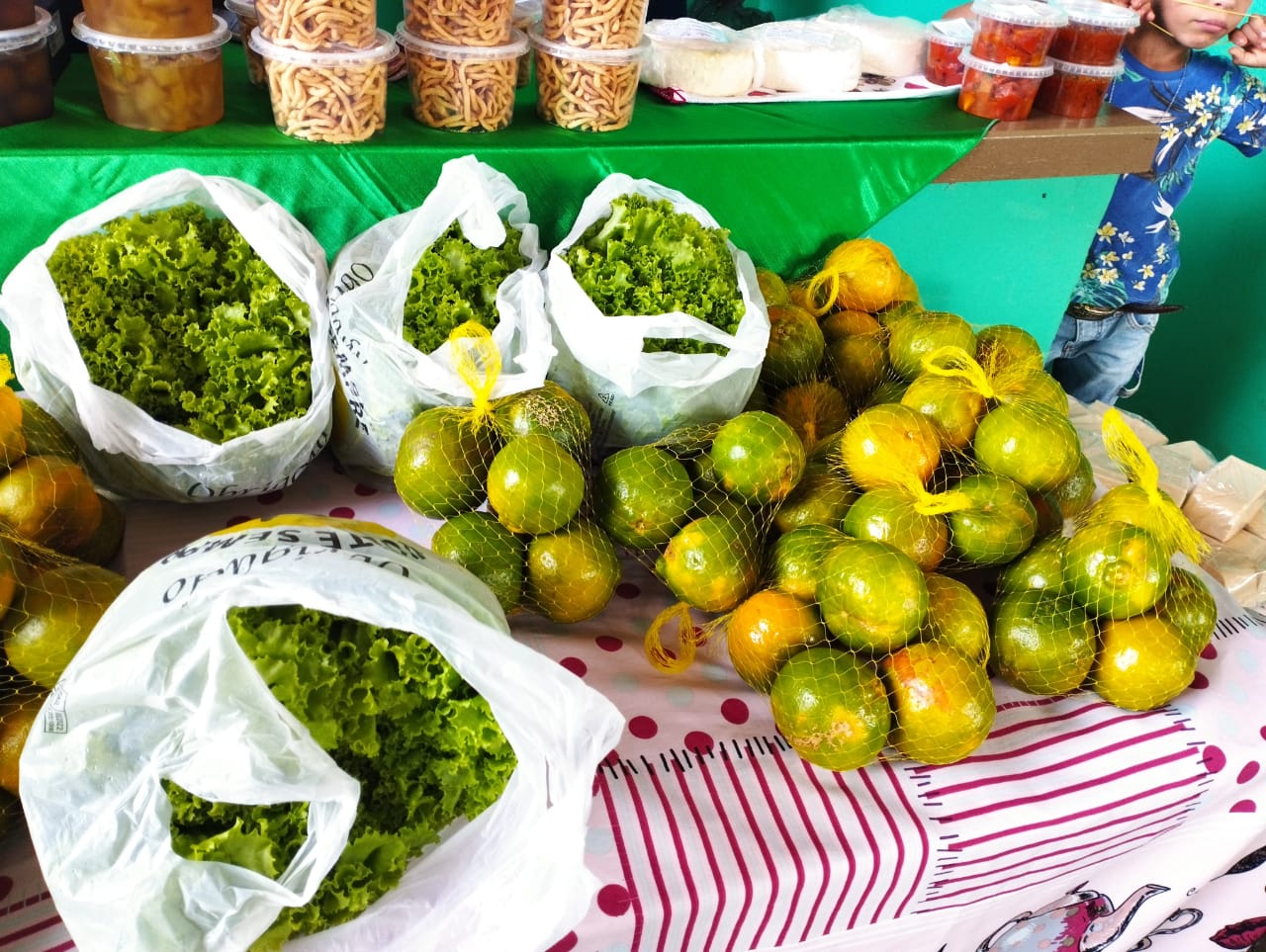 Sancionada lei que retoma o Programa de Aquisição de Alimentos