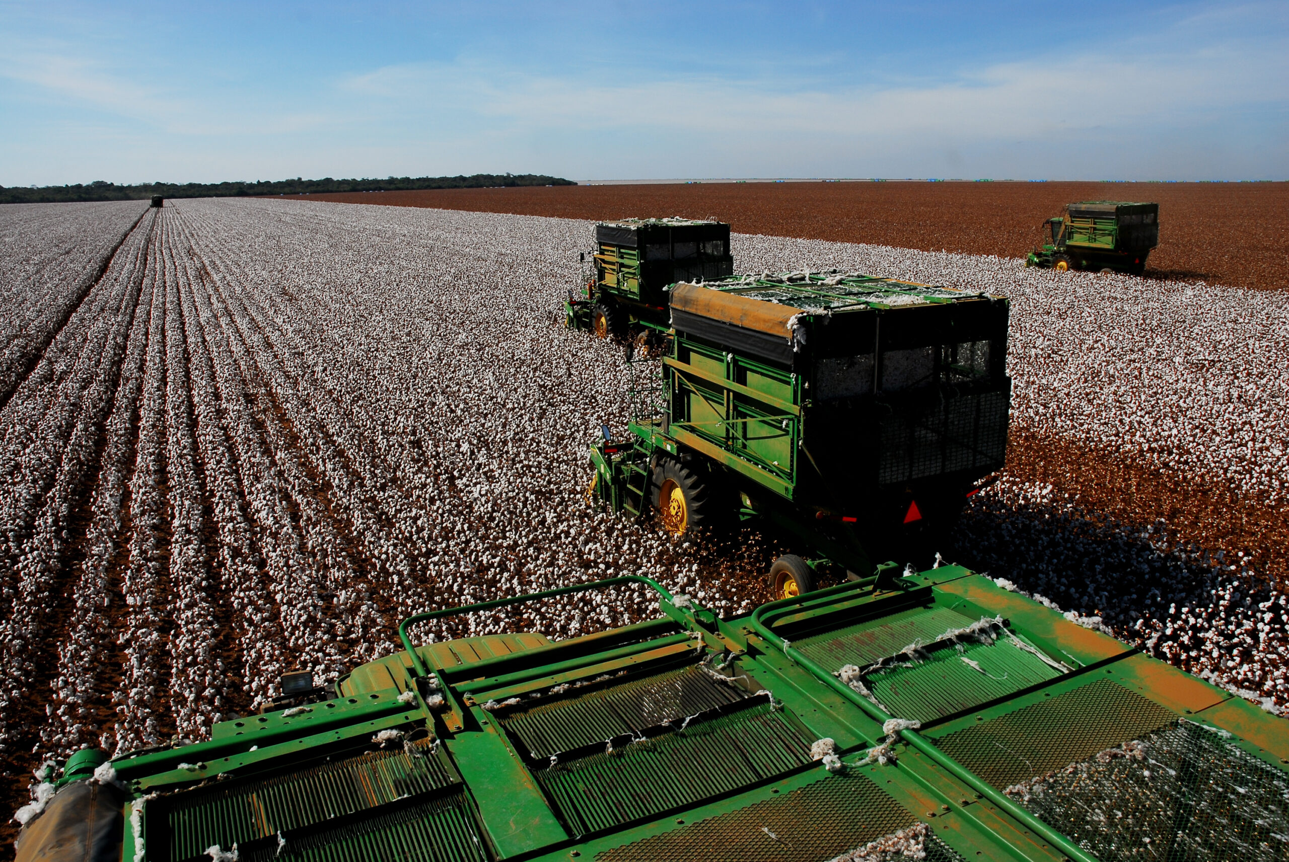 AGRONEGÓCIO: MT concentra 26 dos 50 municípios do país com os maiores valores de produção agrícola