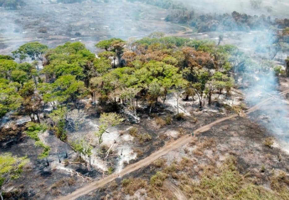 Queimadas no Pantanal superam as registradas em 2020 – Mídia nacional calou-se