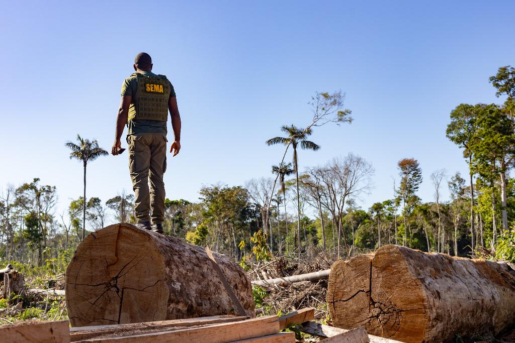 Período proibitivo para exploração do manejo florestal sustentável encerra nesta segunda-feira (01)