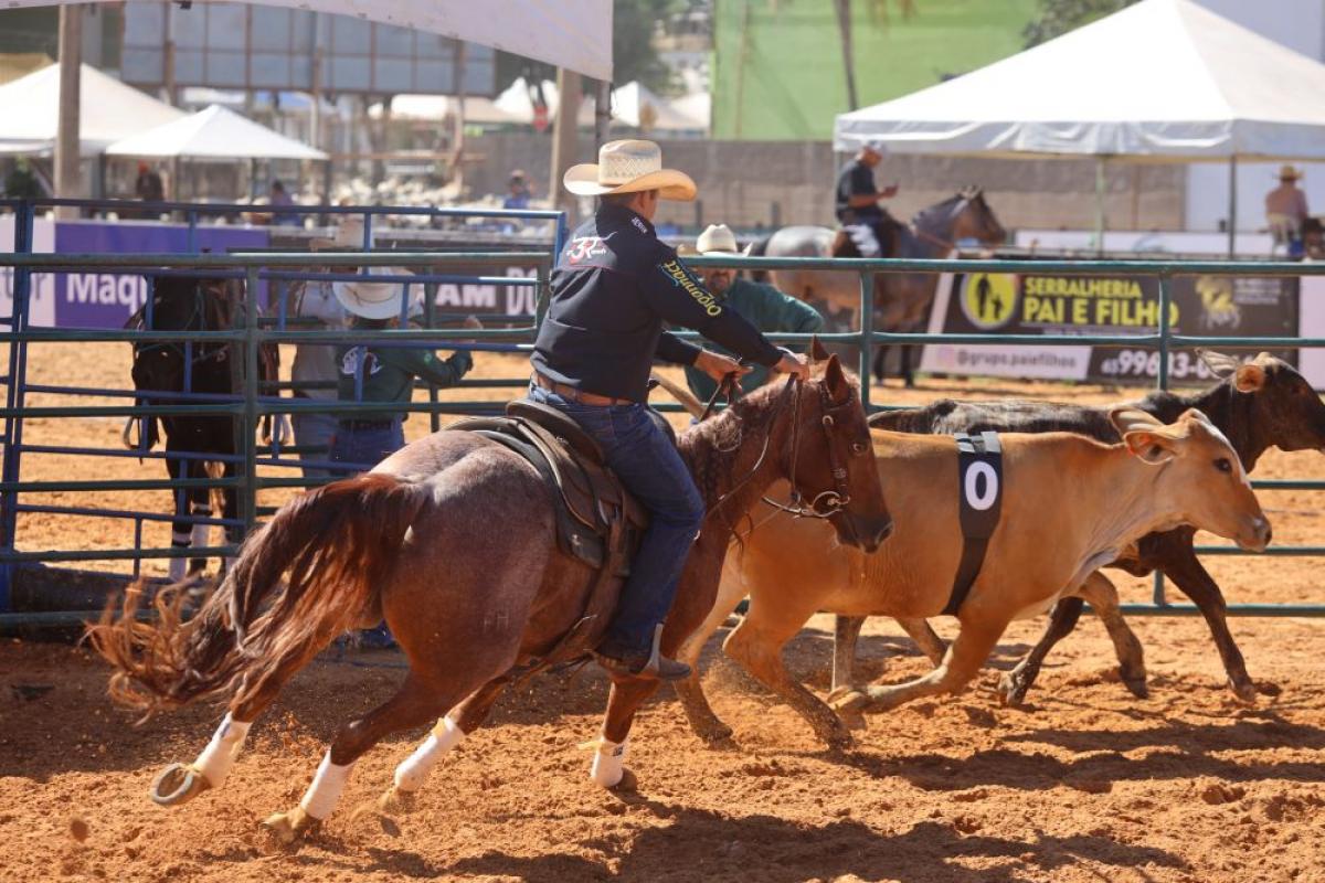 CUIABÁ: Feira de negócios equestre movimenta economia e atrai expositores