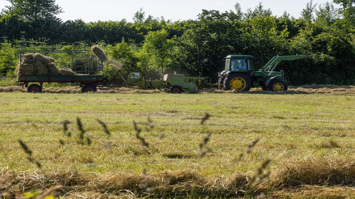 A economia brasileira: Desafios e oportunidades