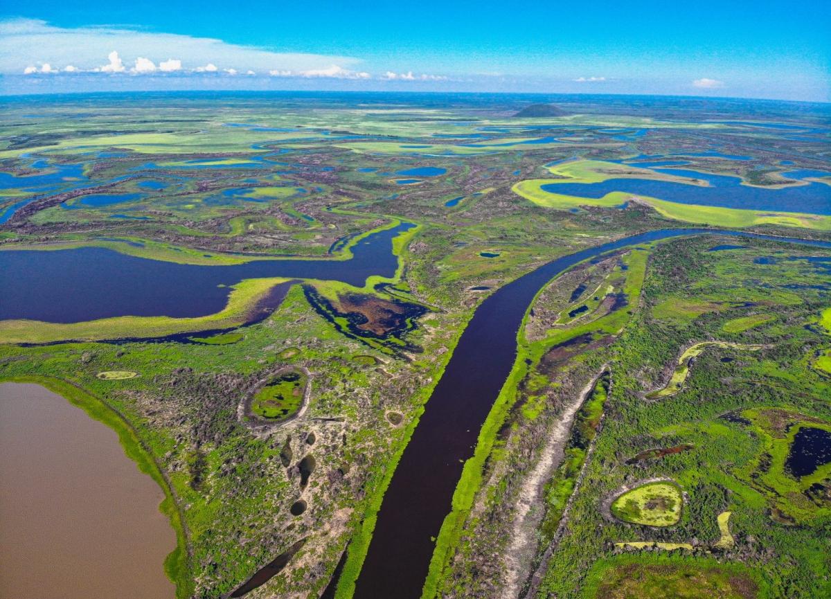 PANTANAL: Ação direta de inconstitucionalidade busca anulação da Lei do Pantanal