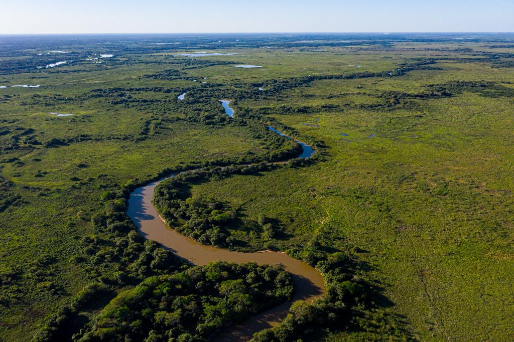 Com omissão de prefeituras, sociedade pode convocar conferência de 15 a 30 de novembro. Menos de 10% dos municípios convocaram conferências do meio ambiente