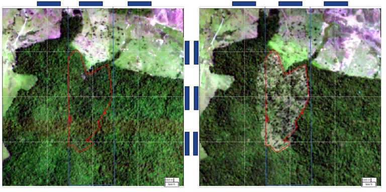 MEIO AMBIENTE: BNDES barra R$ 728 milhões de crédito rural a proprietários que desmatam